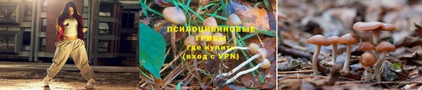 мдпв Липки