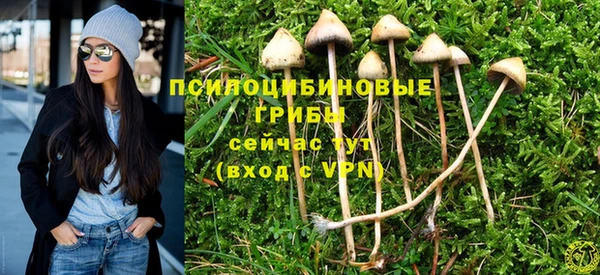 сатива Ладушкин