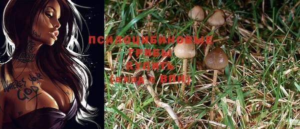 каннабис Лабытнанги