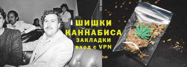 сатива Ладушкин