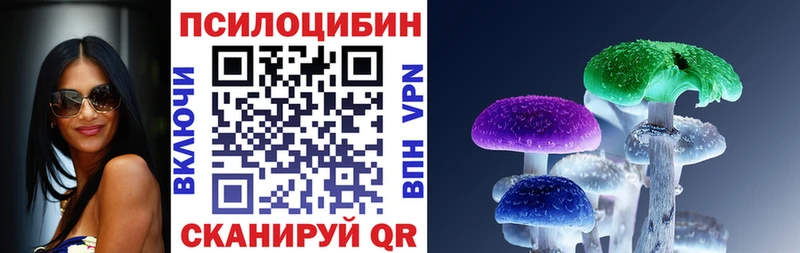 где купить   Чайковский  Галлюциногенные грибы ЛСД 