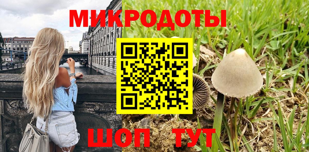 Галлюциногенные грибы Cubensis Чайковский