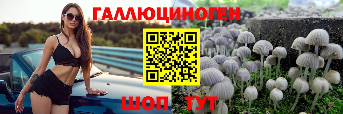 Чайковский  Галлюциногенные грибы Magic Shrooms  Вход с VPN 